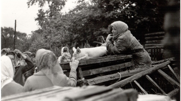 Іллінскі кірмаш 3